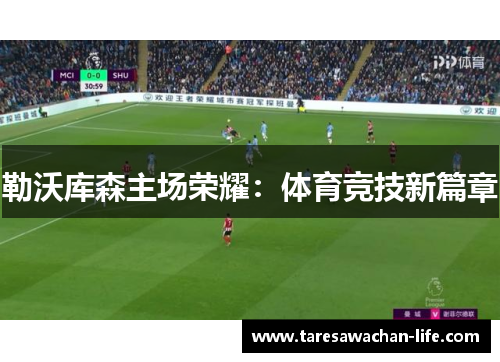 勒沃库森主场荣耀：体育竞技新篇章